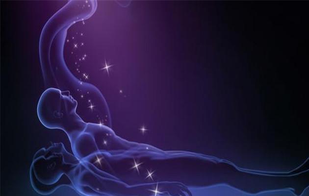 揭秘管家婆一码一肖，中奖秘籍与解析落实之道
