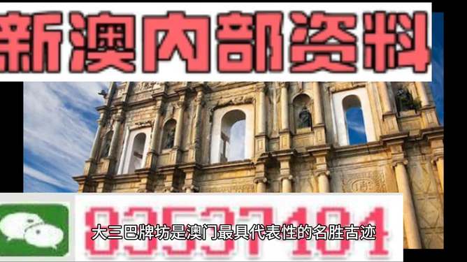 新澳门免费资料大全正版精选解释解析落实策略