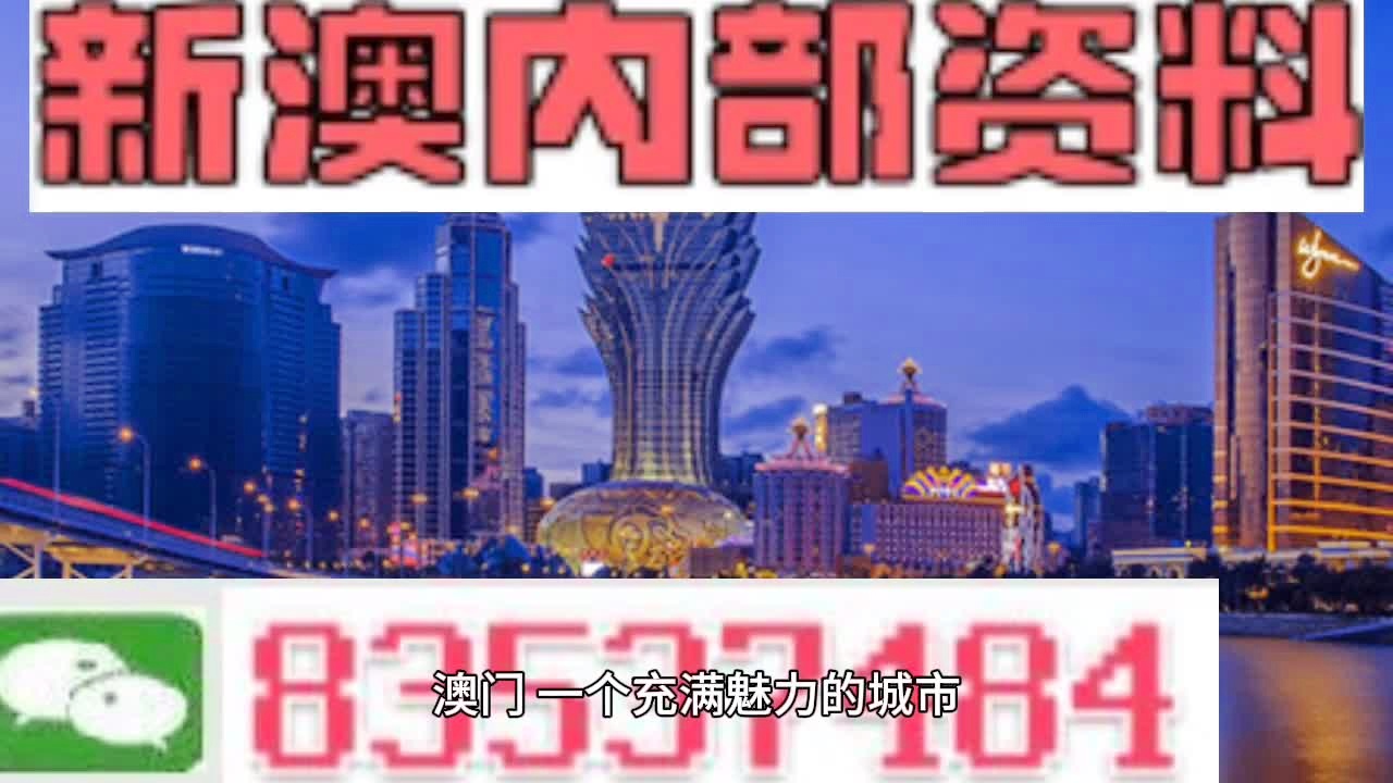 澳门精准免费大全2023年展望与解析落实策略