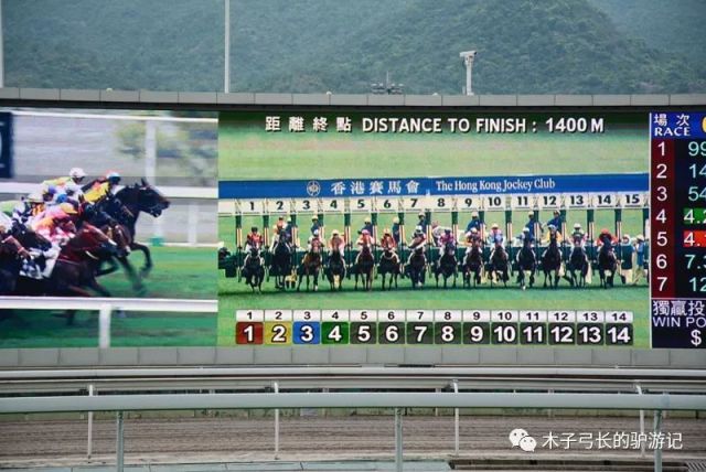 香港赛马资料更新最快精选解析落实详解