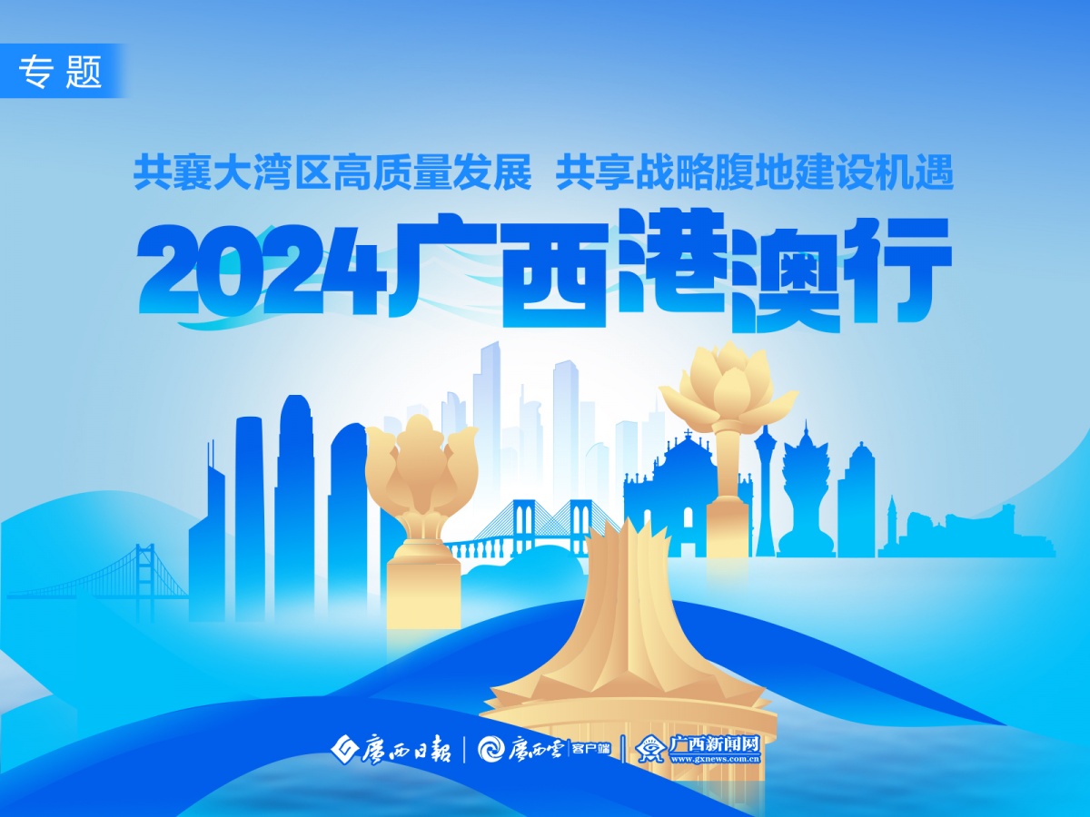 解析落实2025新澳精准正版资料精选策略