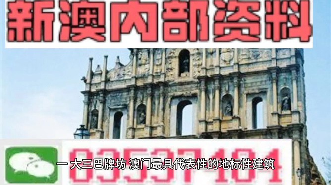 新澳门免费资料大全历史记录查询与精选解析落实的探讨