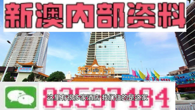新澳资料正版免费资料，精选解释解析落实的重要性
