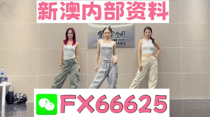 管家婆一肖中一码630，解析、精选与落实的精髓