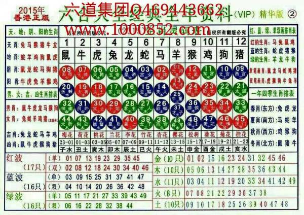 揭秘2025十二生肖与49码表，深度解析与实际应用