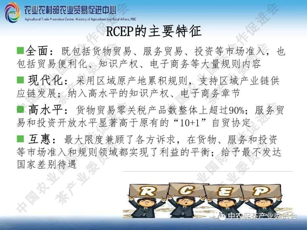 2025新澳今晚资料八佰力|精选解释解析落实,解析新澳今晚资料八佰力，精选解释与落实策略