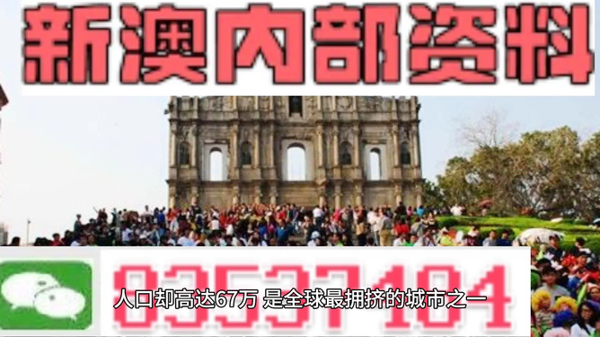 澳门正版精准免费大全|精选解释解析落实,澳门正版精准免费大全，解析与落实精选策略