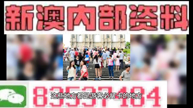 新澳精准资料免费提供网站|精选解释解析落实,新澳精准资料免费提供网站，精选解析落实的深度探讨