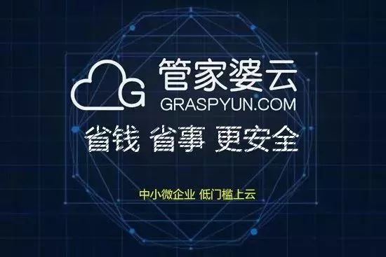 新澳门管家婆一句|精选解释解析落实,新澳门管家婆一句精选解析与落实策略