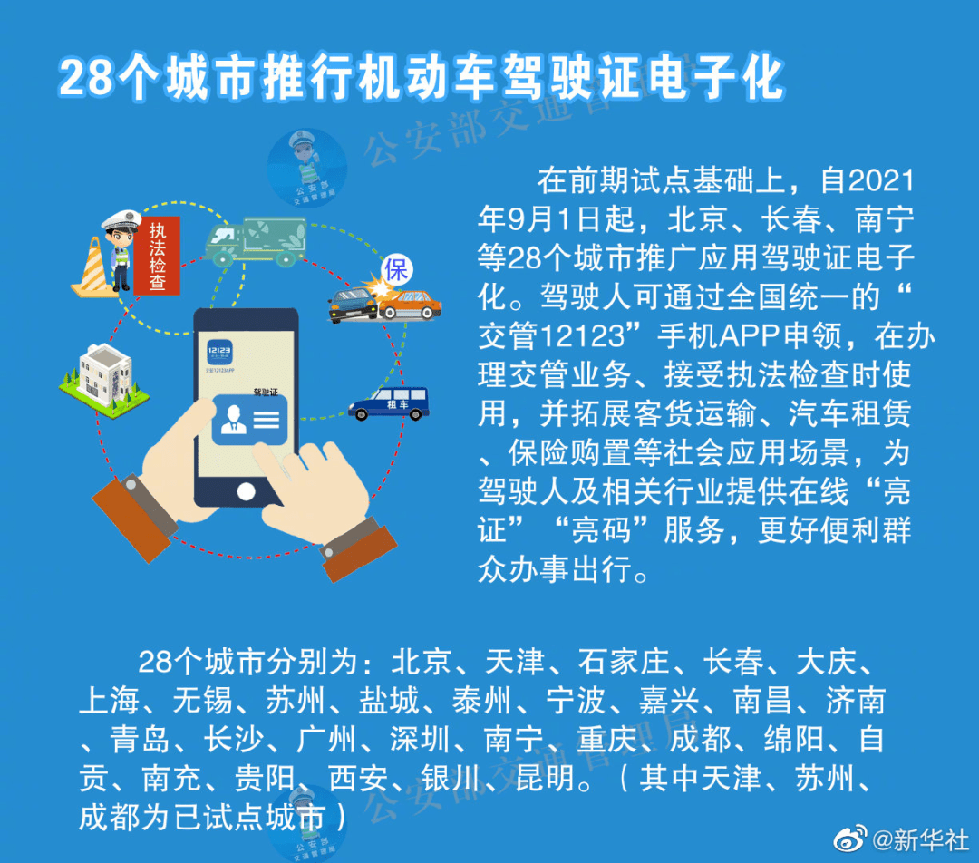 2025全年资料免费大全/实用释义解释落实_l539.58.218,迈向2025，全年资料免费大全与实用释义解释落实指南